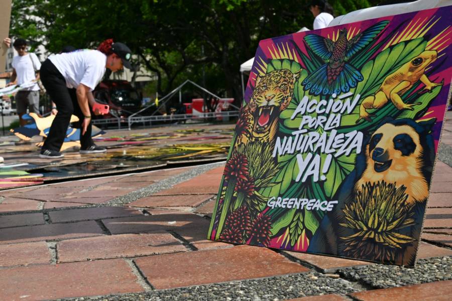 Jóvenes impulsan proyectos ambientales para reducir riesgos de desastres en Colombia