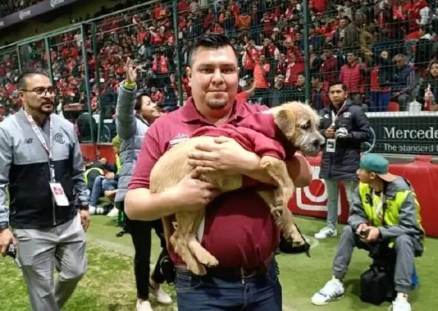 Gobierno del Edomex y Deportivo Toluca impulsan adopción de mascotas en el estadio