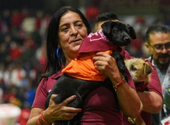 Toluca y Cepanaf impulsan adopciones de perros durante partidos en el Estadio Nemesio Diez