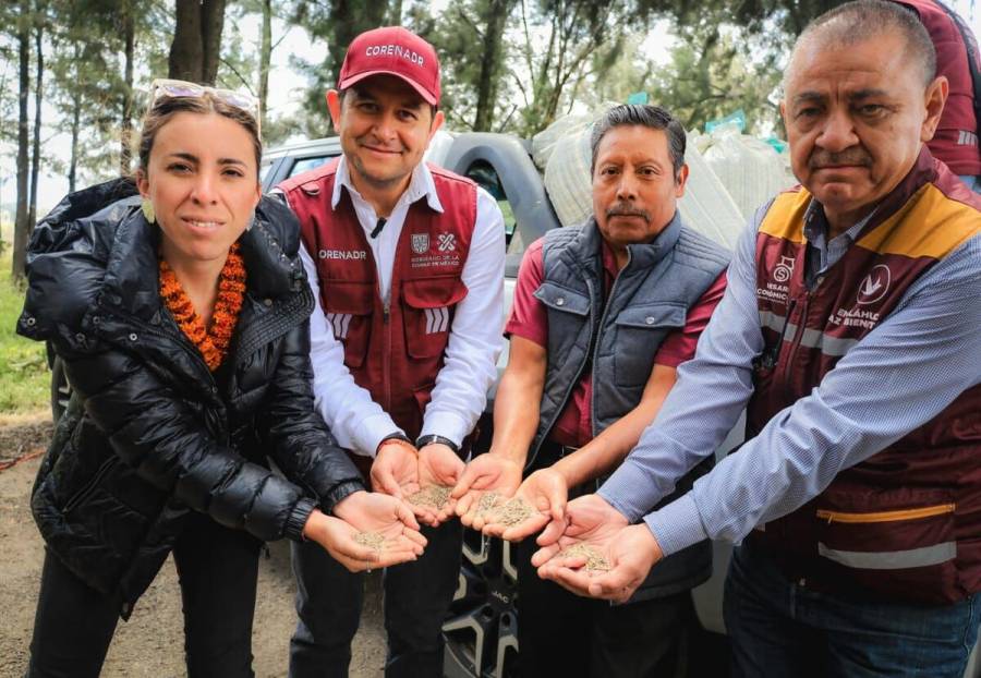 Entrega GobCDMX semillas a productores para cosecha de romeritos