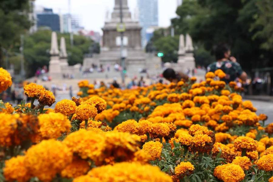 El color del Día de Muertos inunda CDMX
