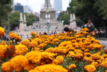 El color del D&iacute;a de Muertos inunda CDMX