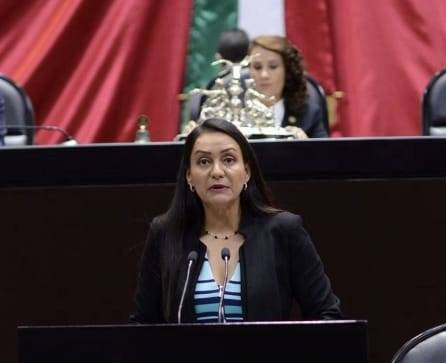 Verde Ecologista busca hasta 10 años de cárcel a quien dañe con dolo al medio ambiente