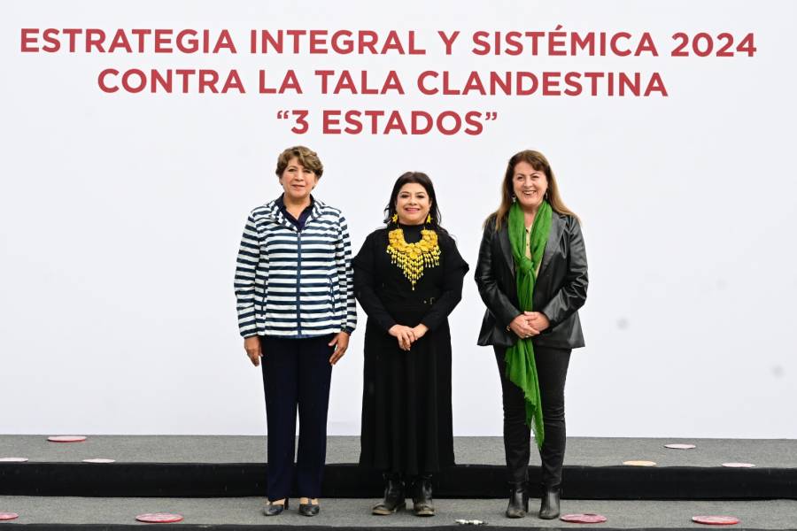 Encabeza Delfina Gómez estrategia contra tala ilegal en Edomex, CDMX y Morelos