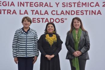 CDMX, Morelos y Edomex acuerdan combatir la tala clandestina