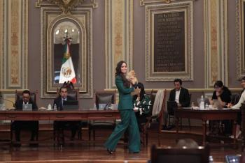 Presentan iniciativa para garantizar la custodia de 