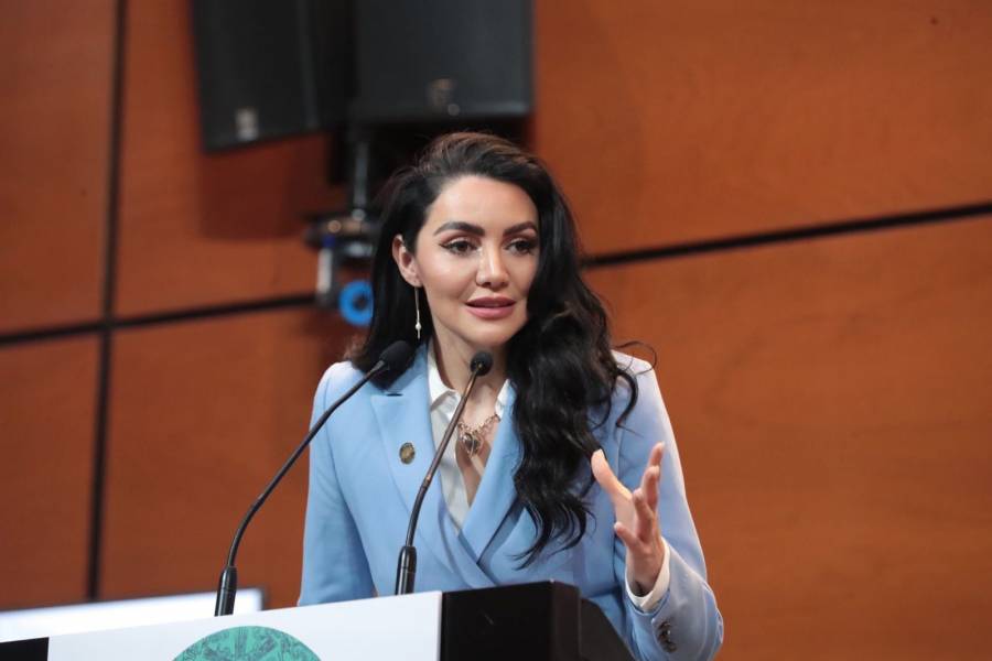 Se aprobará un ahorro por 100,000 millones de pesos en la Cámara de Diputados, anuncia la Vicecoordinadora de MORENA, Gabriela Jiménez Godoy