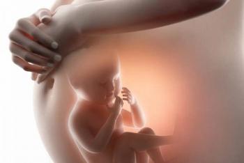 Arquidi&oacute;cesis de M&eacute;xico critica reforma para despenalizar el aborto y la califica de discriminatoria