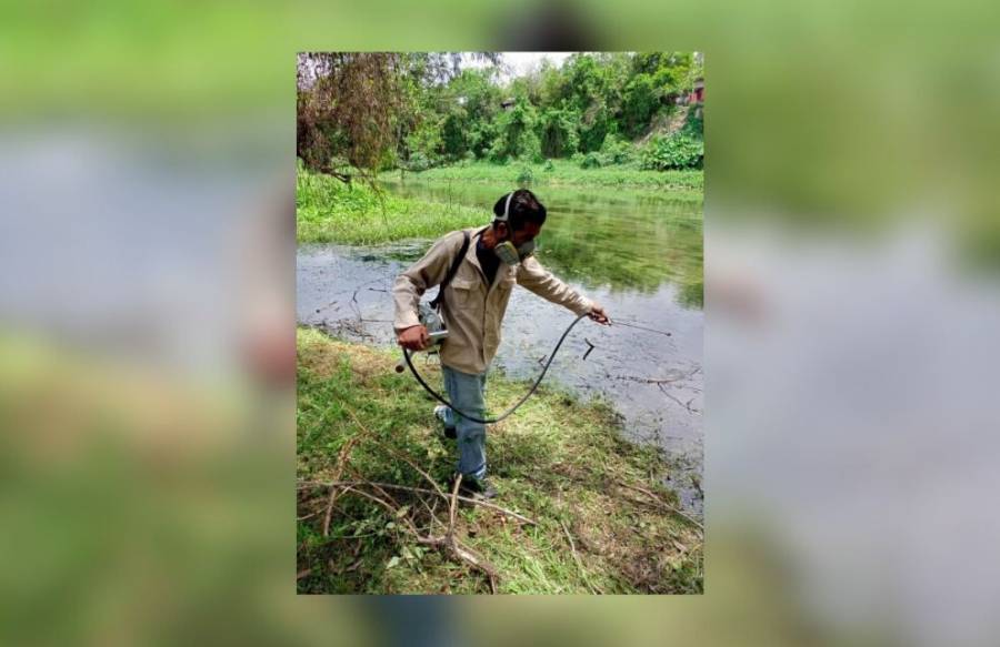 Gobierno Estatal intensifica acciones contra el dengue