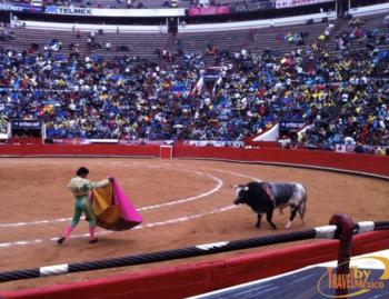 Morena busca que siga la Fiesta brava pero sin sangre