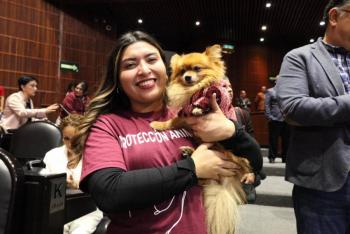 Aprobada Ley de Bienestar Animal en la C&aacute;mara de Diputados