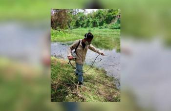 Gobierno Estatal intensifica acciones contra el dengue