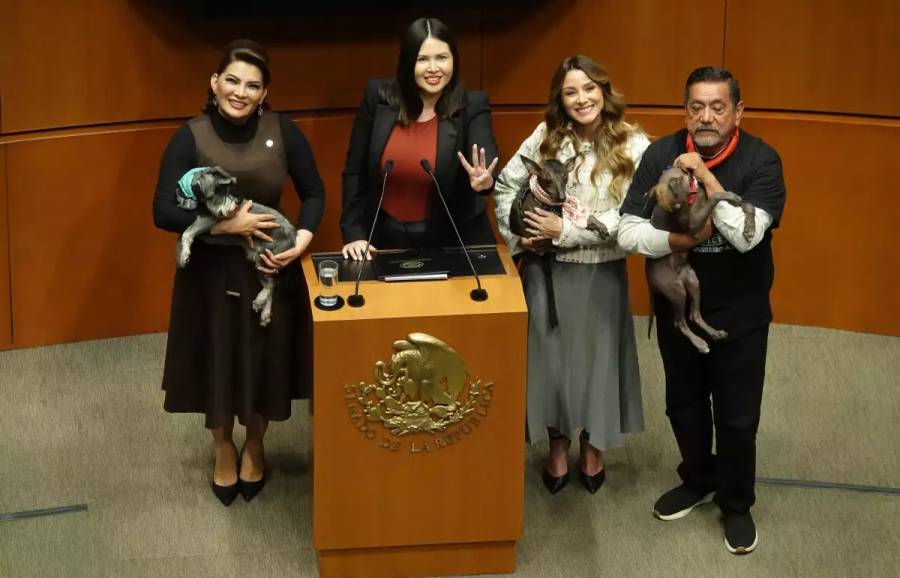 El Senado aprueba Reforma Constitucional para garantizar la protección y bienestar de los animales
