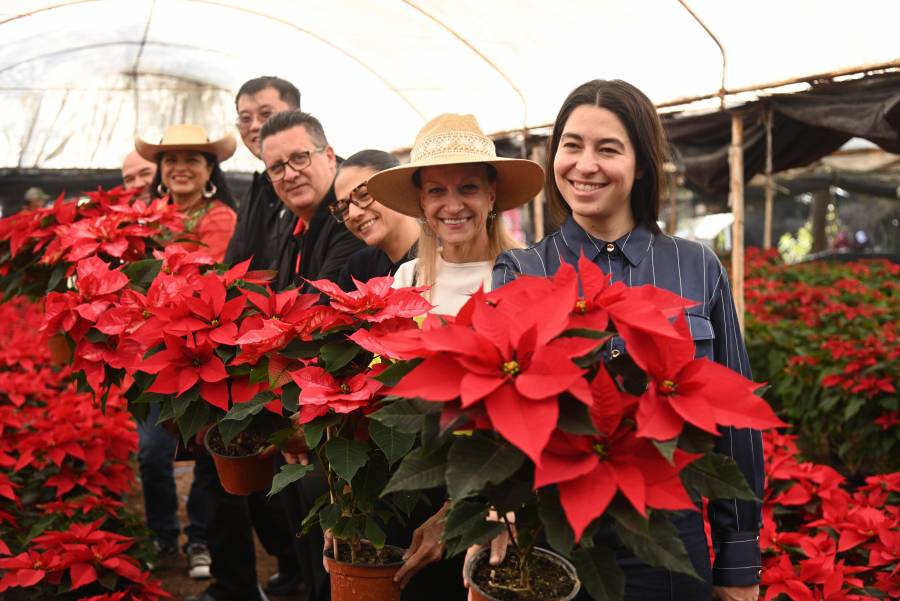Inicia venta de nochebuena producida en Xochimilco; estiman derrama econ&oacute;mica de 70 MDP