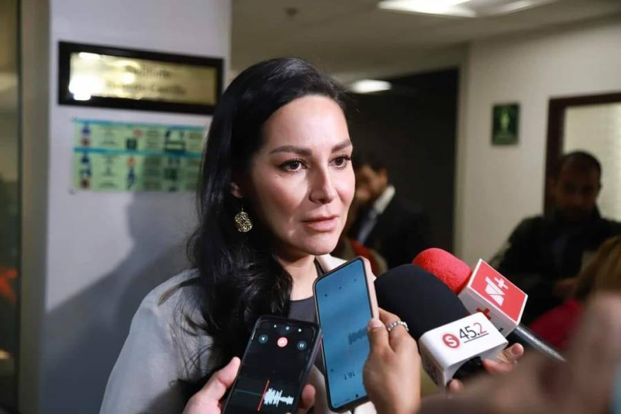 10 de diciembre estará listo Dictamen del PEF 2025: Dip Merilyn Gómez