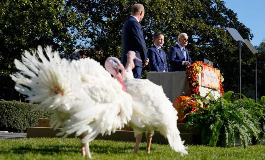 Biden celebra su último Día de Acción de Gracias como presidente de EU mientras Trump se prepara para regresar a la Casa Blanca