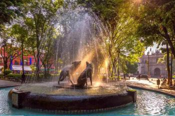 Vive la magia navide&ntilde;a en Coyoac&aacute;n: Tour de Cuentos Mexicanos de Navidad