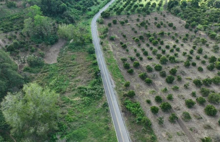 Ricardo Gallardo inaugura la rehabilitación del camino Las Mesas-El Hulero en Tampacán