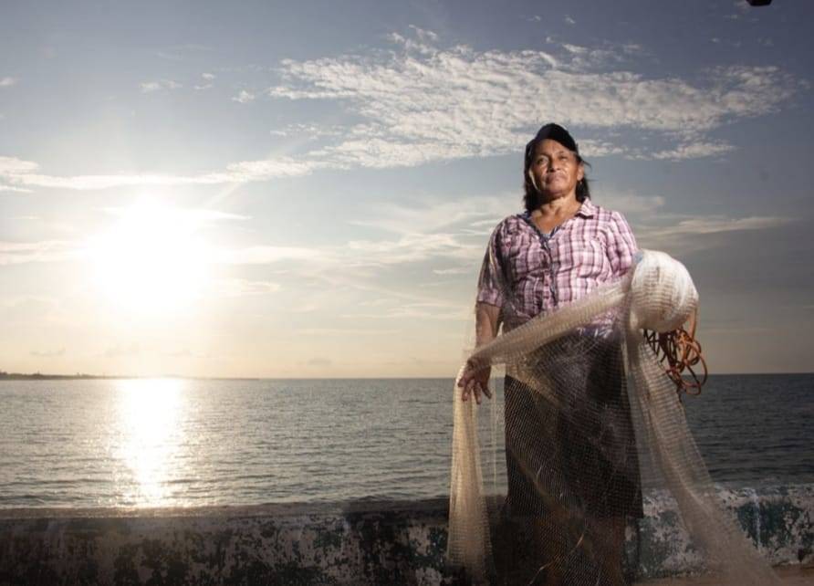 Oceana presenta dec&aacute;logo para transformar la pesca en M&eacute;xico a una legal, sustentable y de seguridad alimentaria del pa&iacute;s