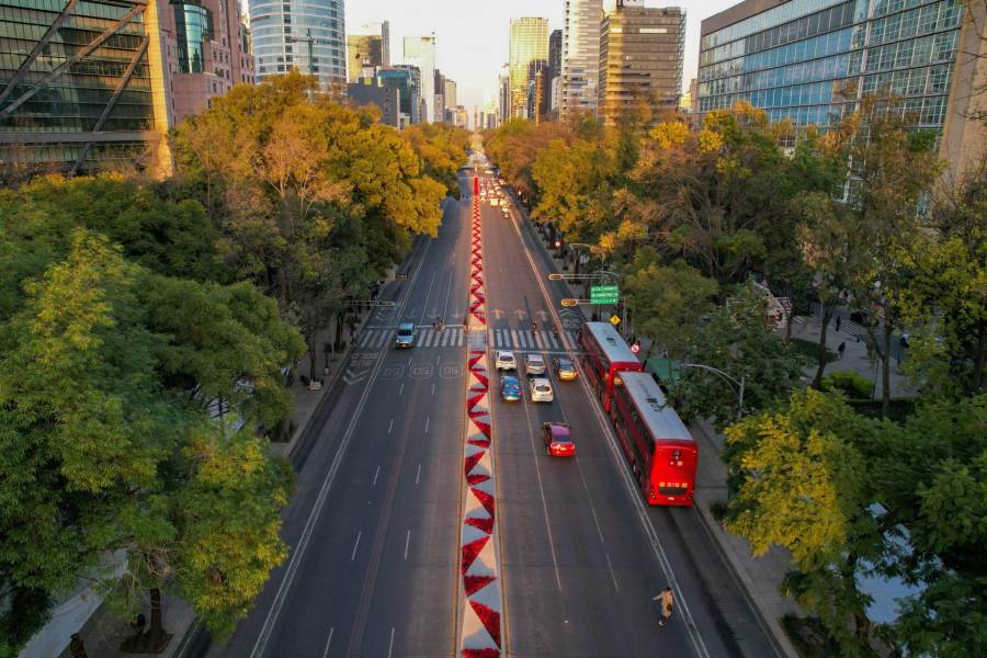Gobierno de la Ciudad de México inicia la decoración navideña en el Zócalo capitalino para las festividades de diciembre