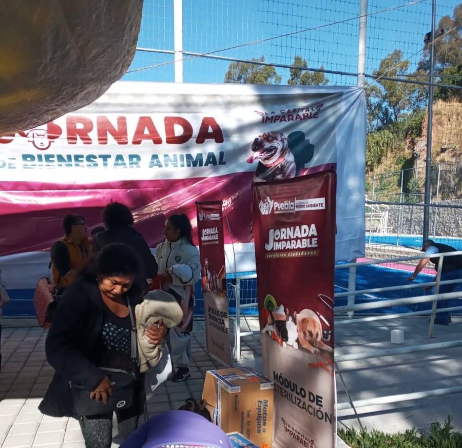 Ayuntamiento de Puebla realiza Jornada de Bienestar Animal