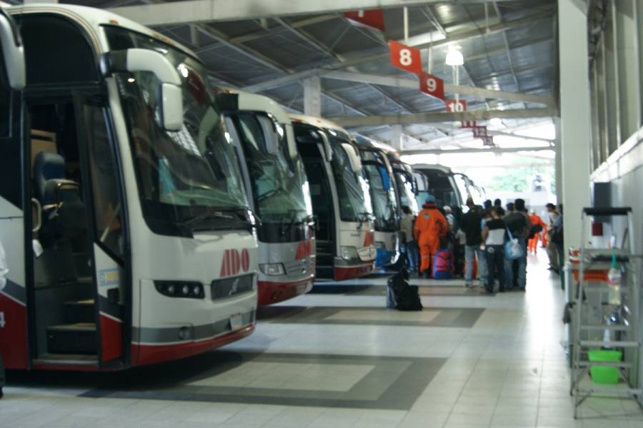 Respalda Profeco a viajeros de autobús durante temporada navideña