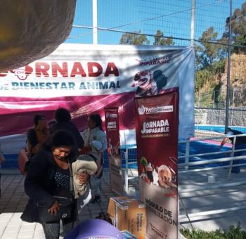 Ayuntamiento de Puebla realiza Jornada de Bienestar Animal