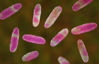 Ni&ntilde;os fallecidos por bacteria en Edomex, se contagiaron por alimentaci&oacute;n que recibieron: Sheinbaum