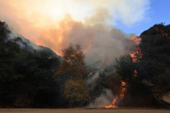 Miles de evacuaciones por feroz incendio forestal que avanza en Malib&uacute;