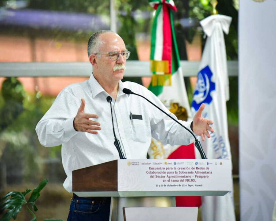 Innovaci&oacute;n, clave para garantizar la soberan&iacute;a alimentaria de M&eacute;xico