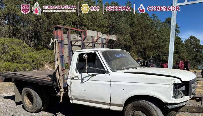 Detienen a presunto responsable de tala clandestina en Tlalpan durante operativo interinstitucional