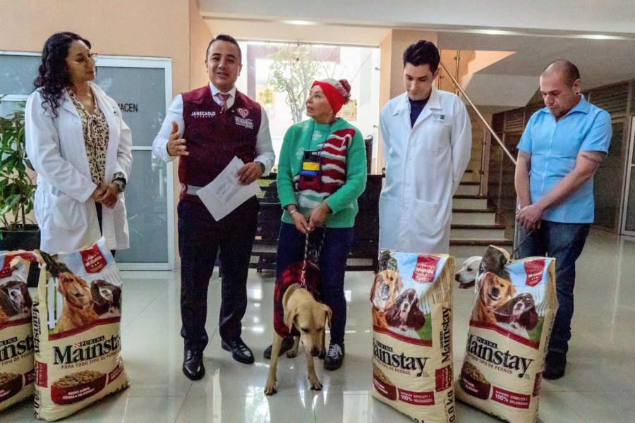 Alcalde de GAM ofrecerá 6 meses de croquetas a adoptantes de 