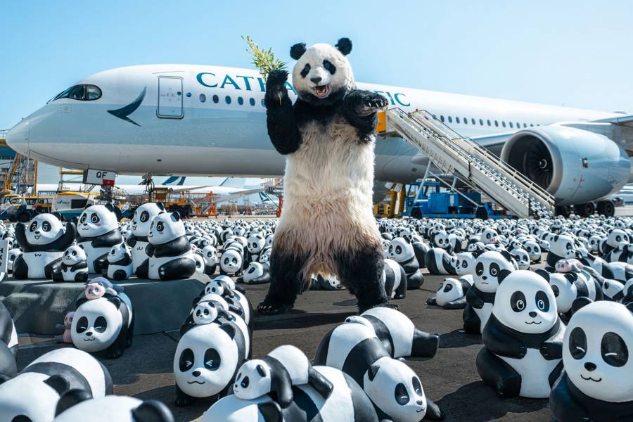 Hong Kong lanza la mayor exposici&oacute;n tem&aacute;tica de pandas con 2,500 esculturas