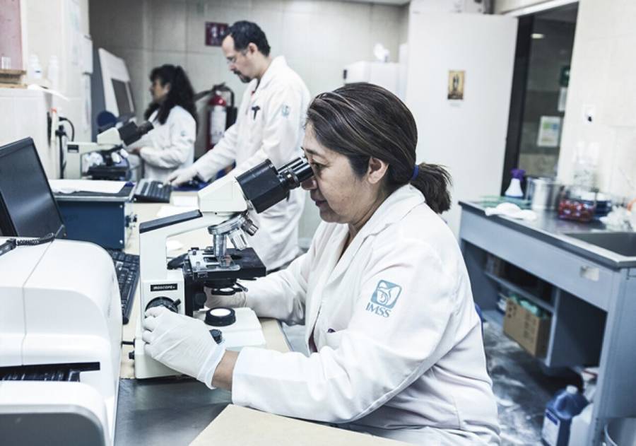 IMSS, rankeado entre las mejores instituciones en el mundo por su investigación en salud
