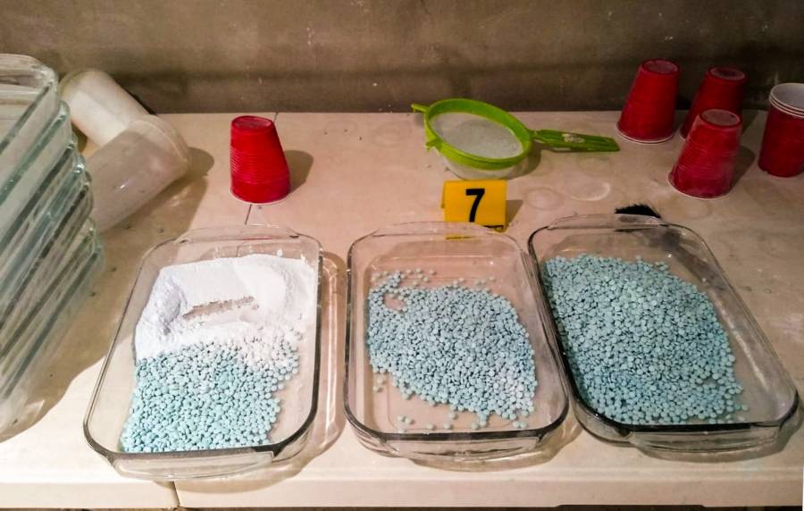 Destrucci&oacute;n de 400 mil tabletas de fentanilo y m&aacute;s de 6 toneladas de precursores qu&iacute;micos en Jalisco