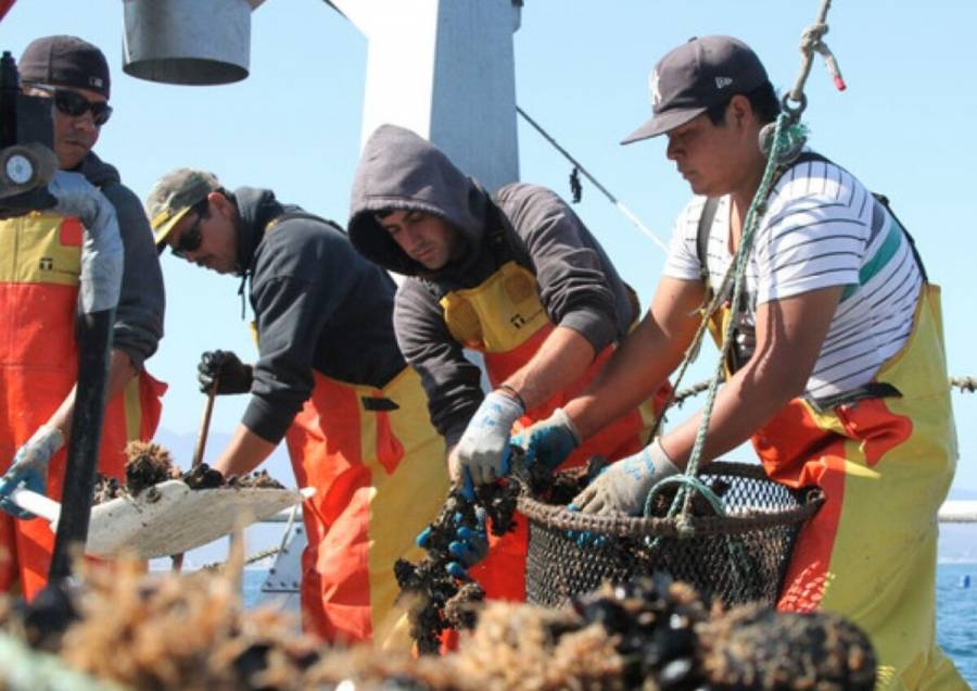 Realiza Conapesca balance de apoyos a peque&ntilde;os y medianos productores