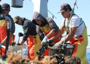 Realiza Conapesca balance de apoyos a peque&ntilde;os y medianos productores