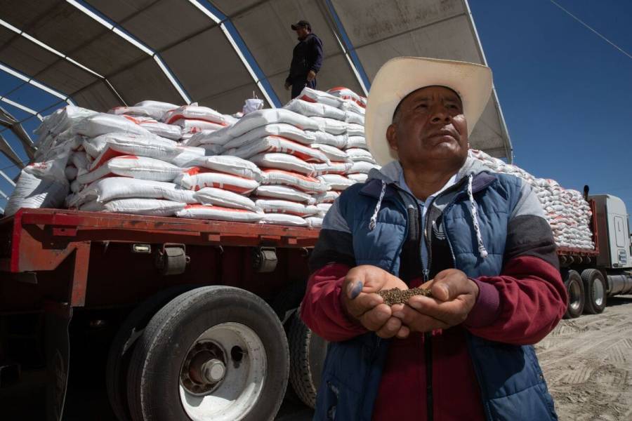Más de 3.3 millones de hectáreas fueron atendidas con fertilizantes gratuitos
