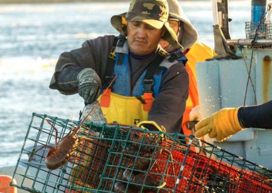 Inicia veda temporal de especies de pulpo y almeja generosa en enero