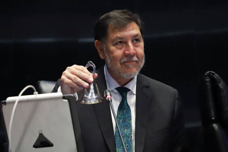 Fernández Noroña, a favor de mantener la figura de la representación proporcional