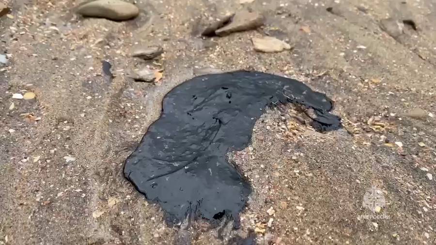 Más de 30 cetáceos muertos tras derrame de petróleo ruso en mar Negro