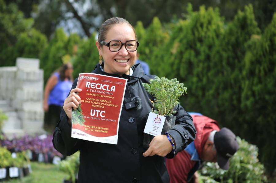 Azucena Cisneros impulsa el reciclaje de árboles navideños en Ecatepec