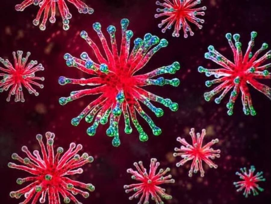 Confirman presencia de Metapneumovirus en México