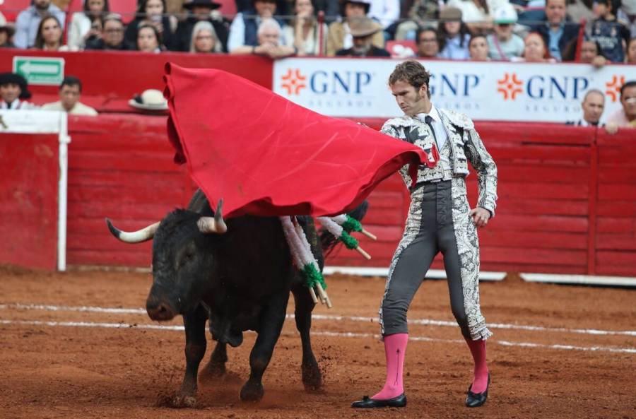 Avala IECM firmas contra corridas de toros