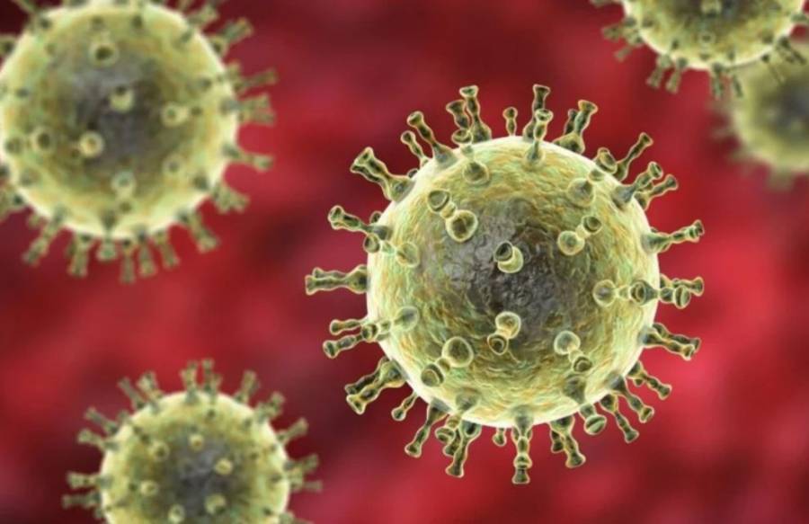 Metapneumovirus no es una amenaza para San Luis Potosí, asegura la Secretaría de Salud