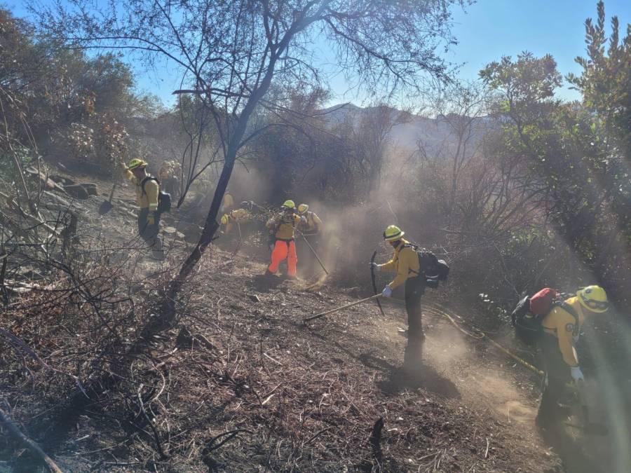 Brigada mexicana se une al combate de incendios en Los Ángeles