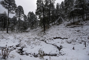 Lunes 13 de enero: Frente Fr&iacute;o 23 provoca temperaturas g&eacute;lidas y lluvias intensas en M&eacute;xico