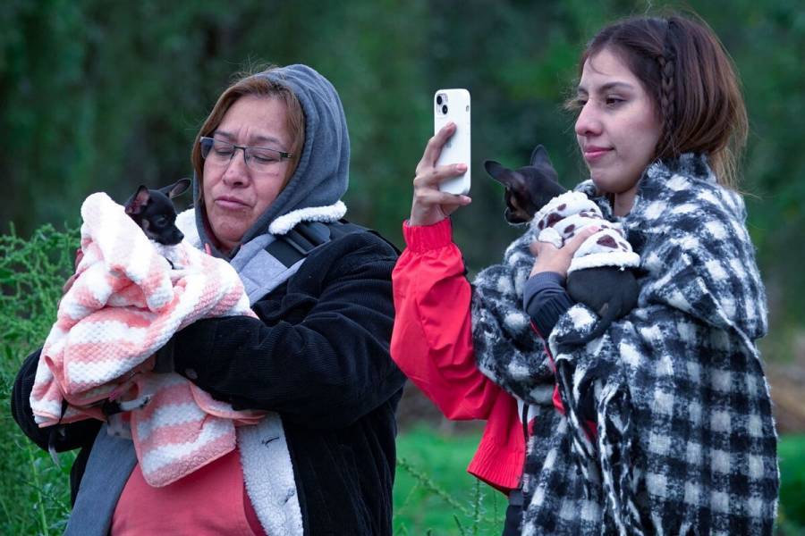 ¿Cómo estará el clima en CDMX este jueves 16 de enero?