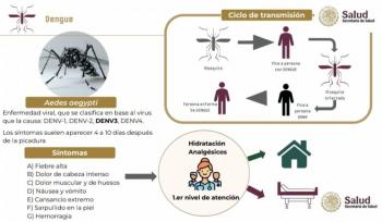 Presentan en ma&ntilde;anera Plan Nacional de control del Dengue
