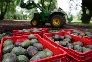 Posible imposici&oacute;n de aranceles por parte de Trump amenaza la integraci&oacute;n agroalimentaria entre M&eacute;xico y Estados Unidos